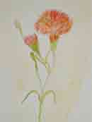 Click here to view the photograph in its own window