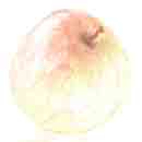 Click here to view the photograph in its own window