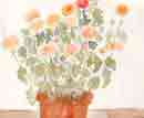 Click here to view the photograph in its own window